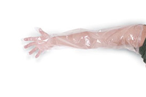 ถุงมือผสมเทียม ถุงมือพลาสติก ยาวถึงหัวไหล่ LDPE Disposable Long Glove