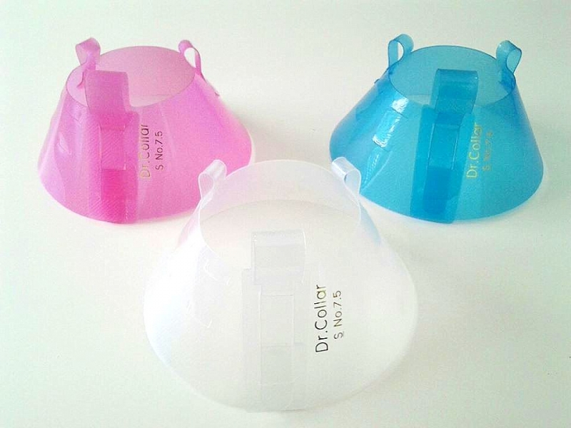 Collar #20 คอลล่า ปลอกคอกันเลียแผล Collar #20 คอลล่า ปลอกคอกันเลียแผล