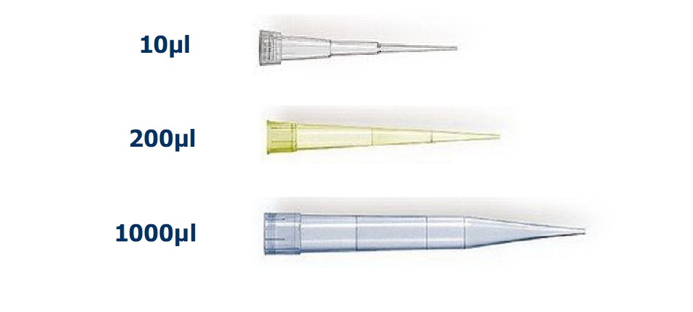 Micro Pipette Tip ปิเปตทิป ขนาด 20-200ul สีเหลือง (ห่อ 1000 ชิ้น)