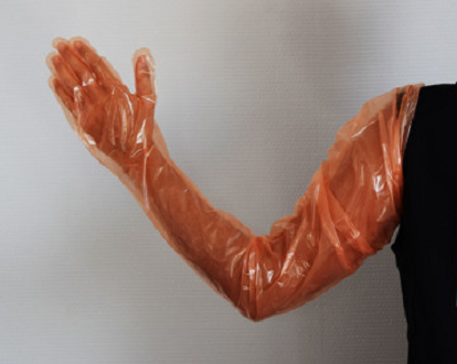 ถุงมือผสมเทียม ถุงมือพลาสติก ยาวถึงหัวไหล่ LDPE Disposable Long Glove