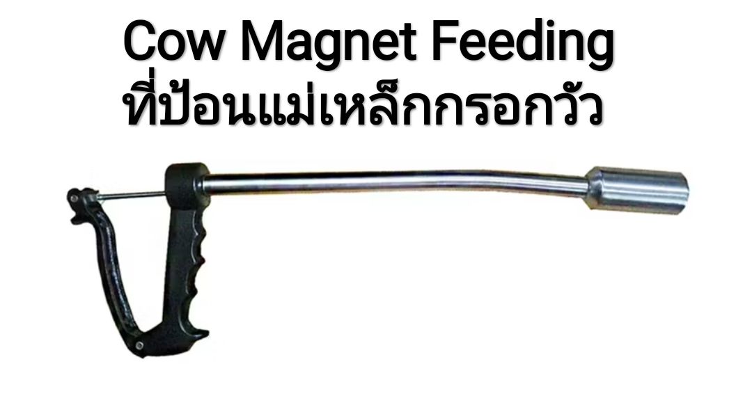 ที่ป้อนแม่เหล็กกรอกวัว