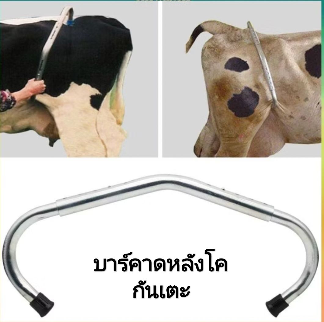 Anti Kick Bar บาร์คาดหลังโค ก้านกันวัวเตะ